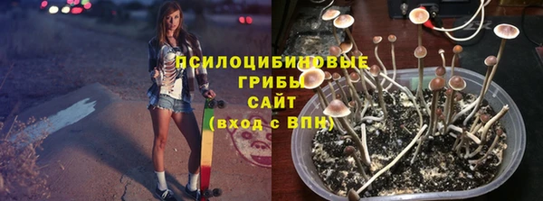 амф Вязьма